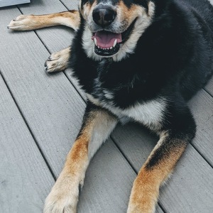 Fundraising Page: Heather Bryant-Tracy